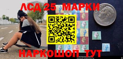 spice Тара