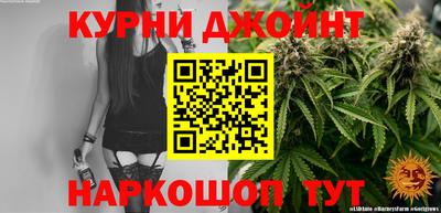 spice Тара