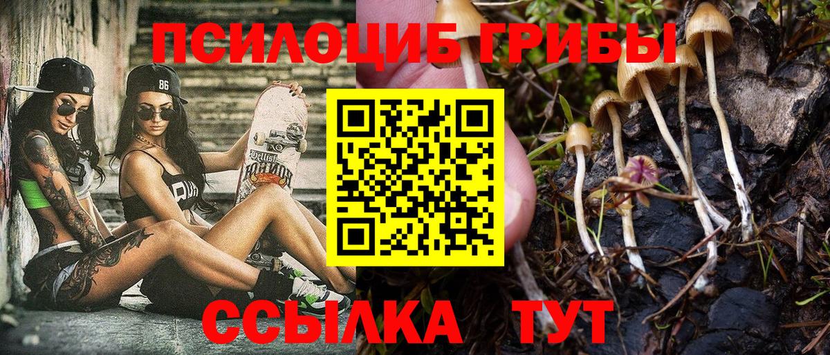 Новочебоксарск  где найти   Галлюциногенные грибы ЛСД  Вход с VPN  Галлюциногенные грибы Psilocybine cubensis 
